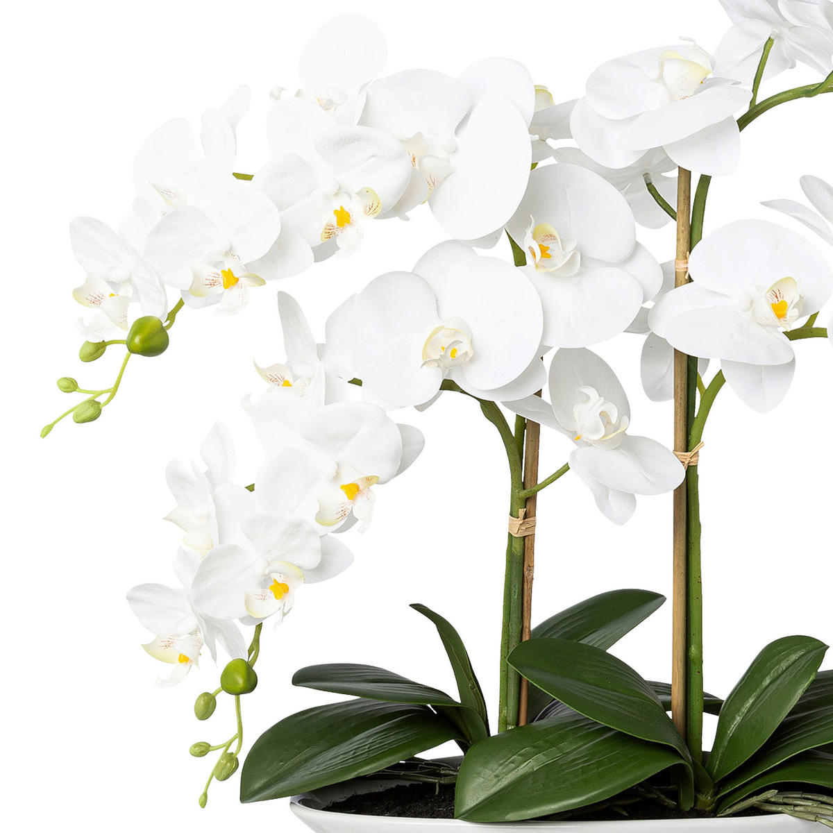 KUNSTPFLANZE Orchidee 53 cm  - Weiß/Grün, Design, Keramik/Kunststoff (53cm)