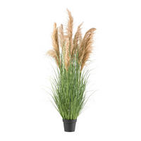 KUNSTPFLANZE Schilfgras 165 cm  - Schwarz/Braun, Design, Kunststoff (165cm) - P & B