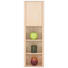 REGAL Birke furniert Birkefarben - Birkefarben, Design, Holz (52/174.8/34.9cm) - PAIDI