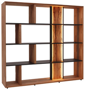 RAUMTEILER in Anthrazit, Buchefarben online kaufen ➤ XXXLutz REGAL Buchefarben online kaufen ➤ XXXLutz
