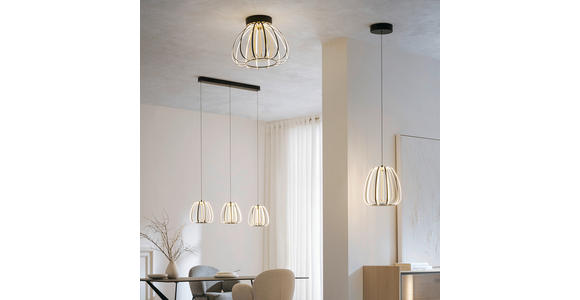 LED-DECKENLEUCHTE 44,5/33 cm   - Goldfarben/Schwarz, Design, Glas/Kunststoff (44,5/33cm) - Novel