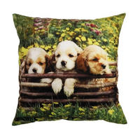 KUDDFODRAL 45/45 cm  - multicolor, Design, textil (45/45cm)