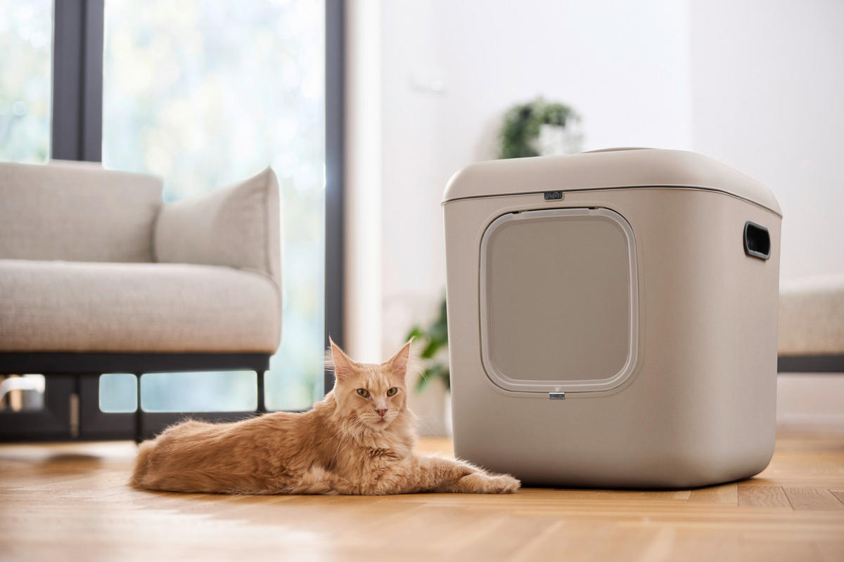 KATZENTOILETTE - Cappuccino, Basics, Kunststoff (49,9/57,6/61,4cm) - Rotho