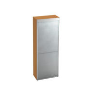 AKTENSCHRANK Alufarben, Buchefarben  - Buchefarben/Alufarben, KONVENTIONELL, Holzwerkstoff/Kunststoff (80/215,6/42cm) - Venda