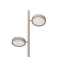 LED-STEHLEUCHTE Bellevue 43/28/162 cm   - Sandfarben, Design, Metall (43/28/162cm) - Dieter Knoll