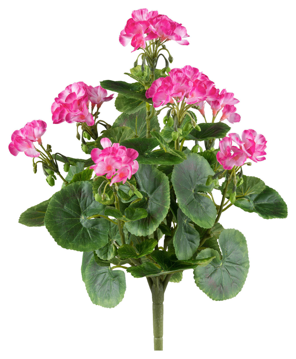 KUNSTPFLANZE 40 cm  - Pink/Grün, Design, Kunststoff (40cm) - P & B