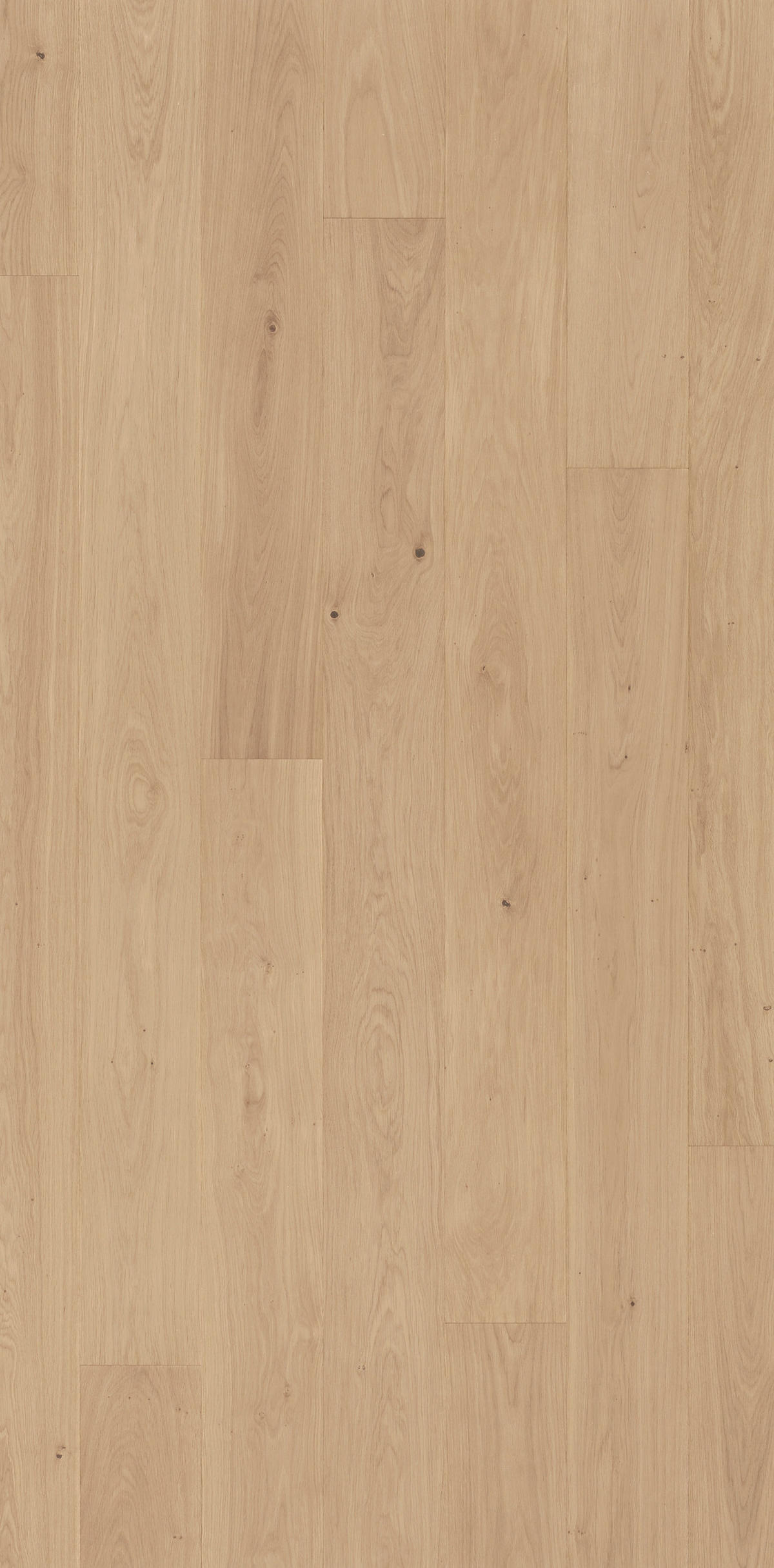 PARKETTBODEN BASIC 11-5 1595165  per  m² - Hellbraun/Hellgrau, LIFESTYLE, Holz (220/18,5/1,15cm) - Parador