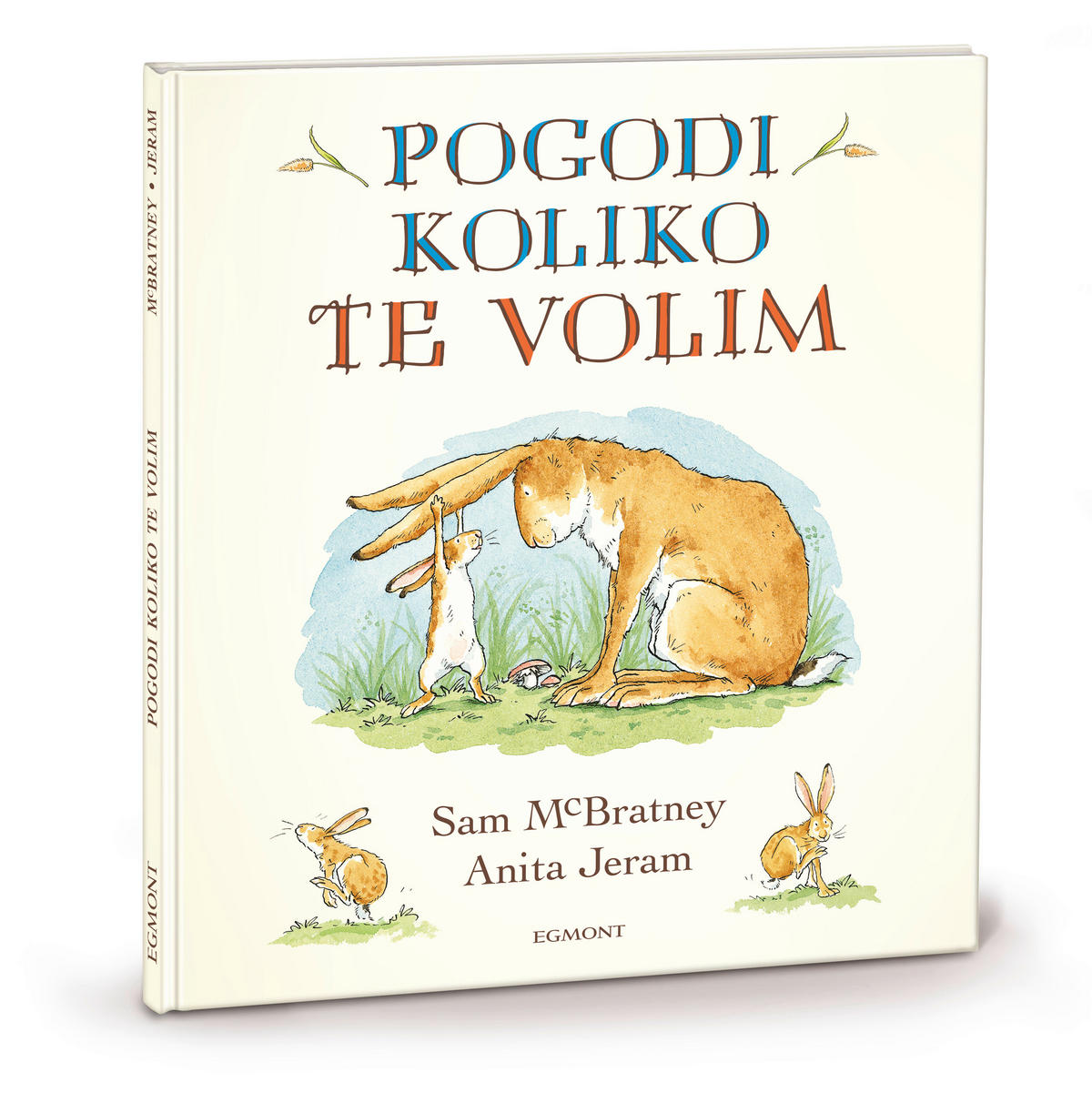 SLIKOVNICA   - Basics, papir (21/24/0,7cm)