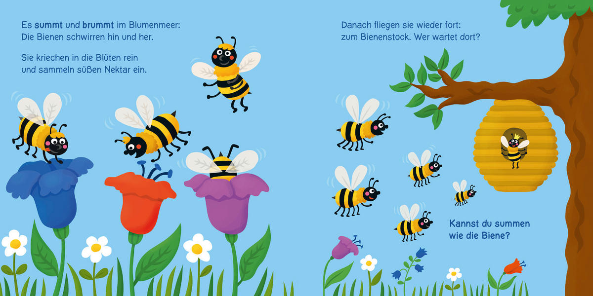 BUCH - Multicolor, Basics, Papier (14/14/0,5cm) - Carlsen