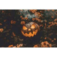 FUSSMATTE 40/60 cm Halloween  - Multicolor, Trend, Kunststoff/Textil (40/60cm) - Esposa