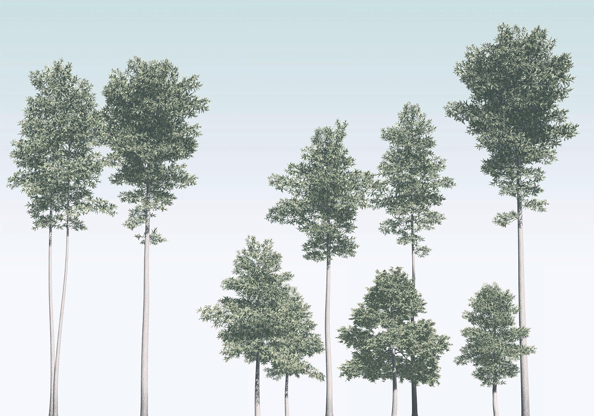 Xora Fototapete Grün, Weiß 400x280 cm