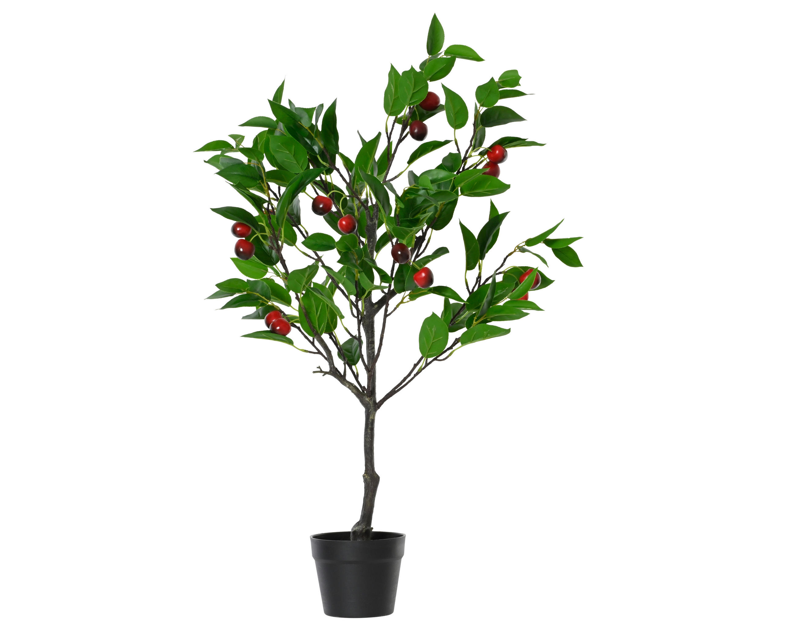 Plantă Artificială - Basics (50,00/47,00/95,00cm)