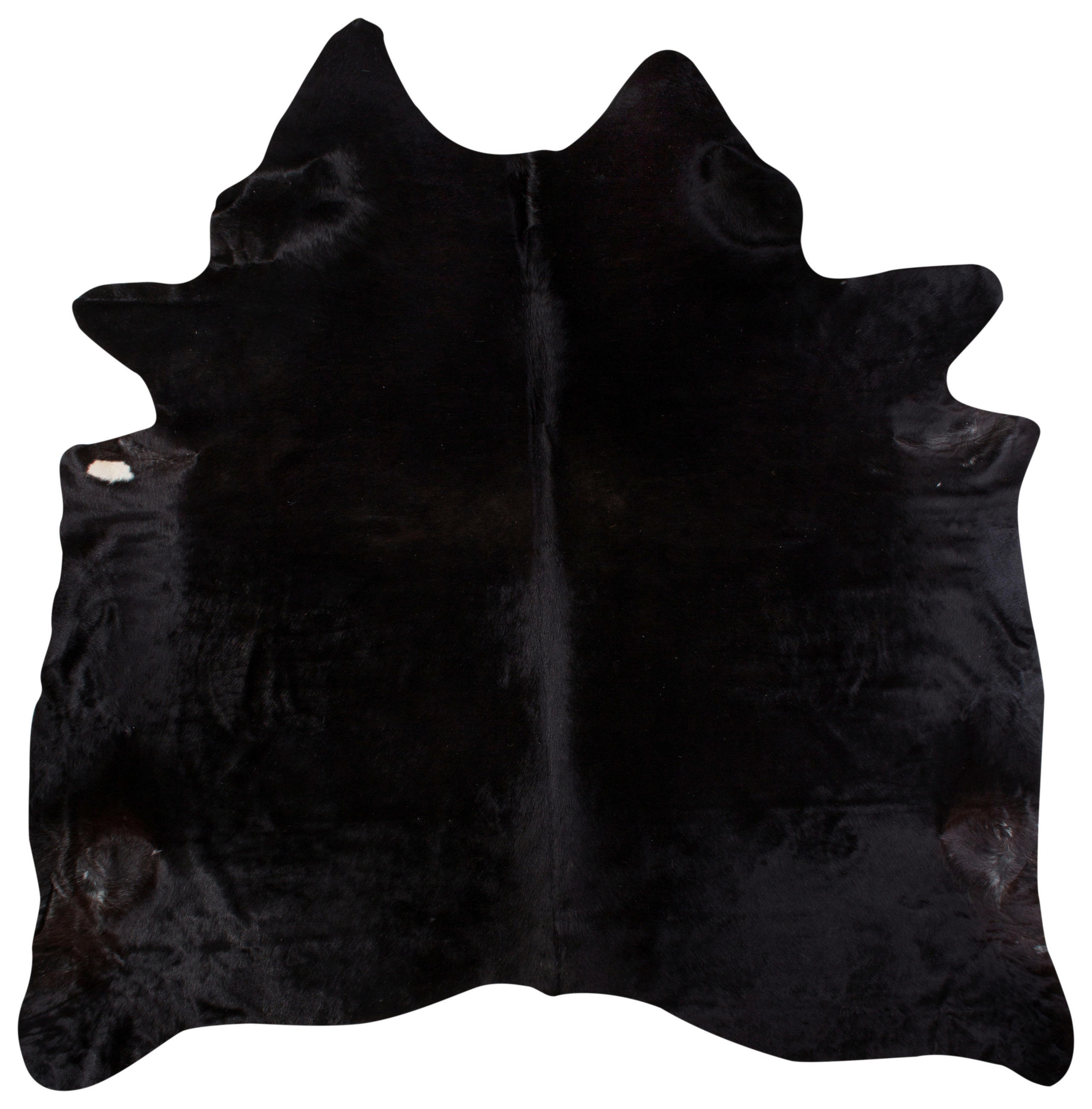 RINDERFELL 160/250 cm Schwarz  - Schwarz, Basics, Leder/Fell (160/250cm) - Linea Natura