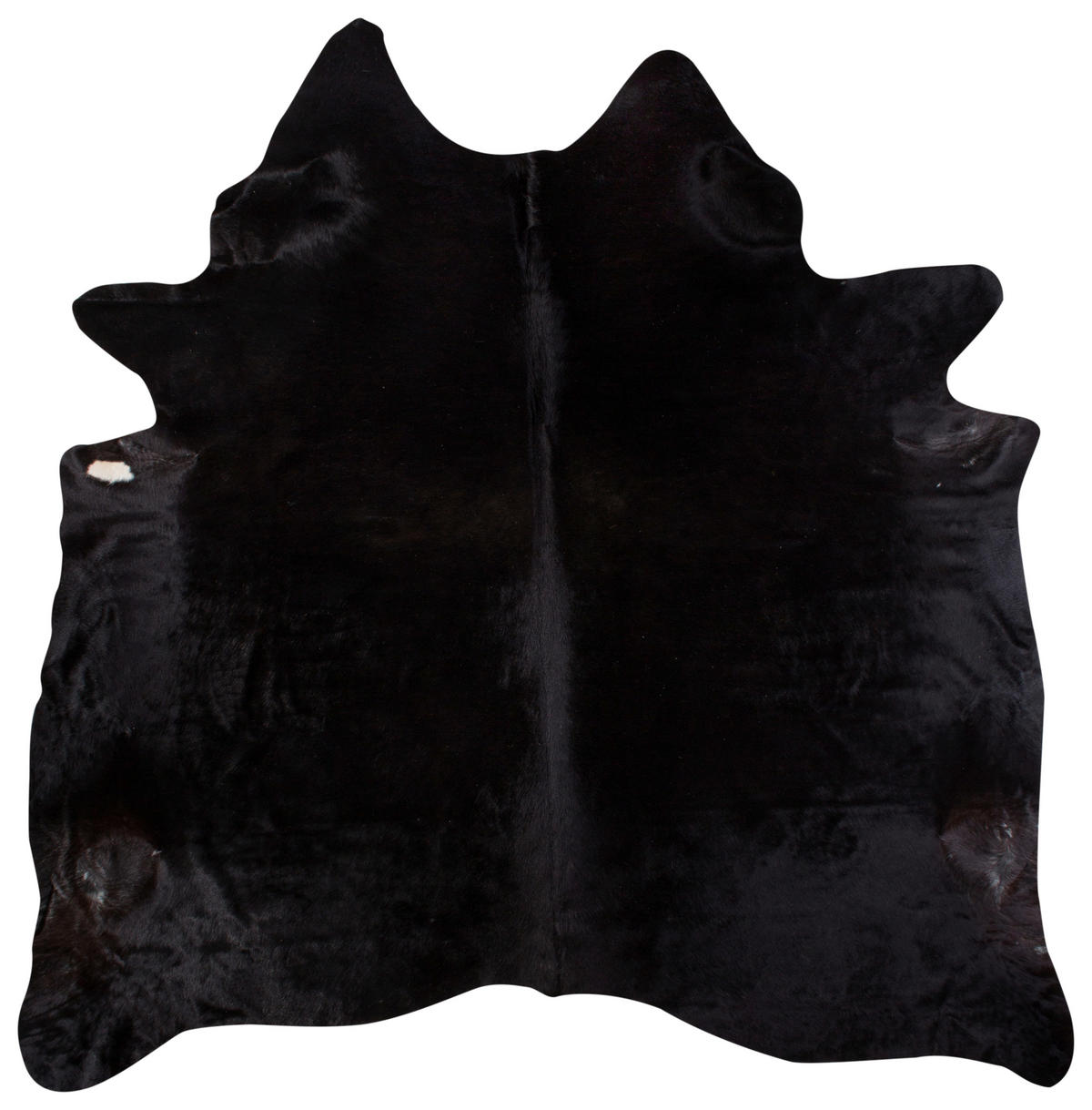 RINDERFELL 160/250 cm Schwarz  - Schwarz, Basics, Leder/Fell (160/250cm) - Linea Natura