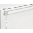 ROLLO 100/160 cm  - Weiß, Design, Kunststoff (100/160cm) - Boxxx