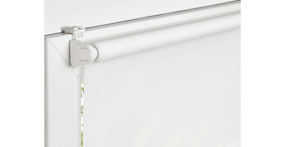 ROLLO 100/160 cm  - Weiß, Design, Kunststoff (100/160cm) - Boxxx