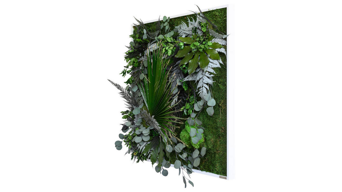 MOOSBILD Stylegreen  - Weiß/Grün, Basics, Naturmaterialien/Holz (80/80/18-22cm)