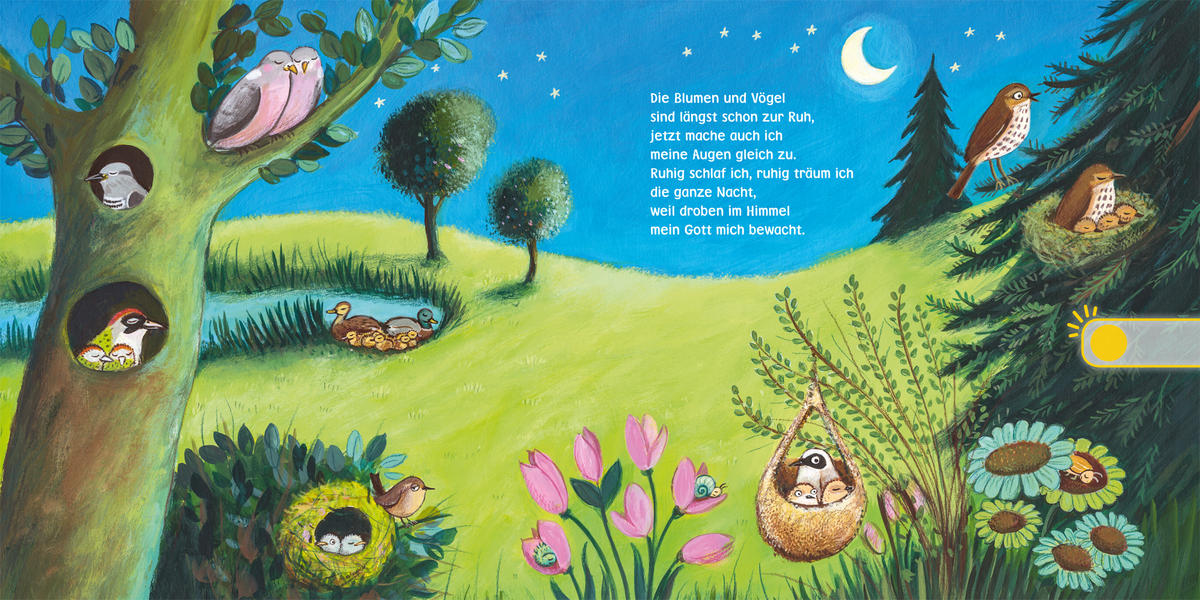 SOUNDBUCH - Basics (18/18/1,8cm) - Carlsen