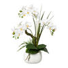 KUNSTPFLANZE Orchidee 46 cm  - Weiß/Grün, Design, Keramik/Kunststoff (46cm) - P & B