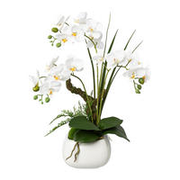 KUNSTPFLANZE Orchidee 46 cm  - Weiß/Grün, Design, Keramik/Kunststoff (46cm) - P & B
