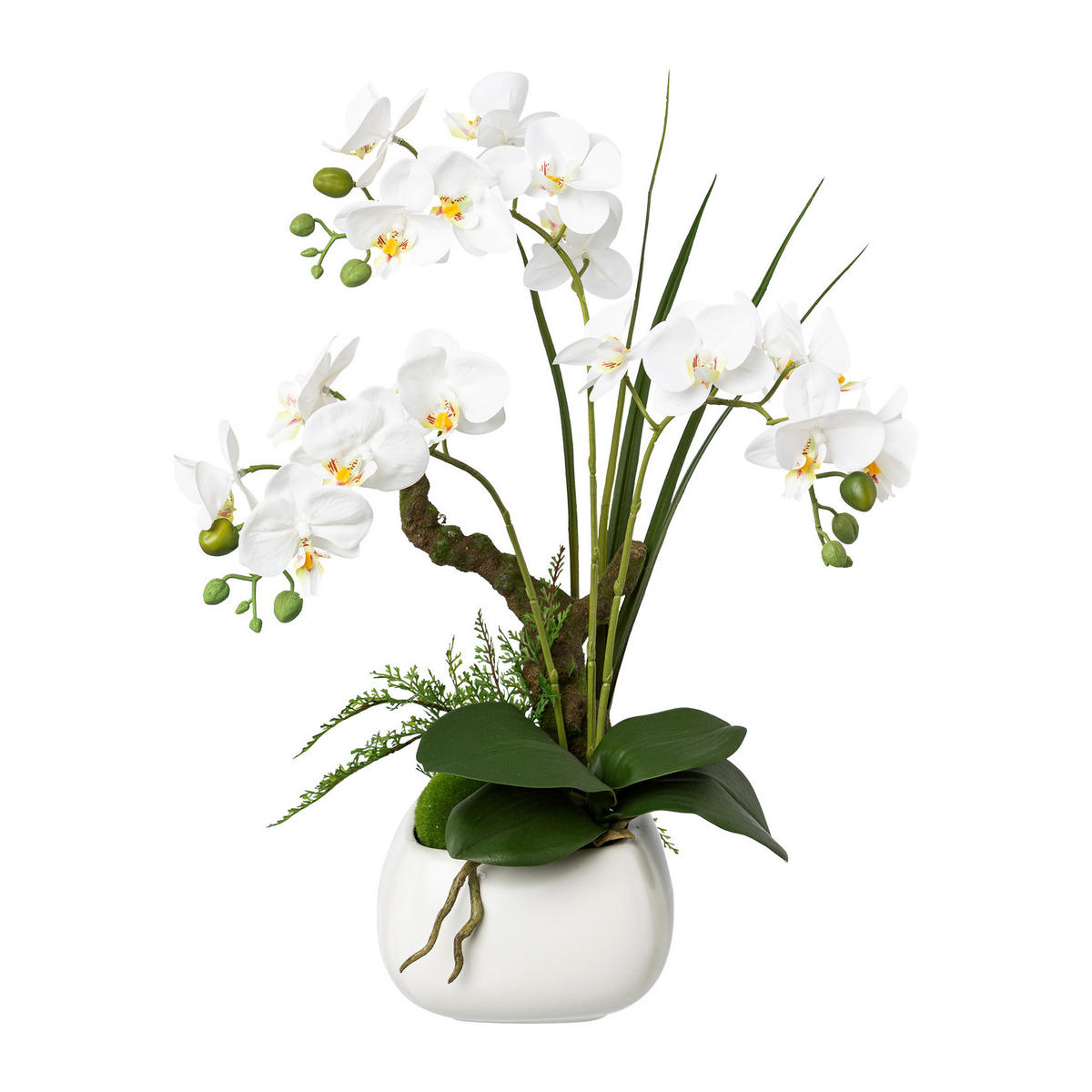 KUNSTPFLANZE Orchidee 46 cm  - Weiß/Grün, Design, Keramik/Kunststoff (46cm) - P & B