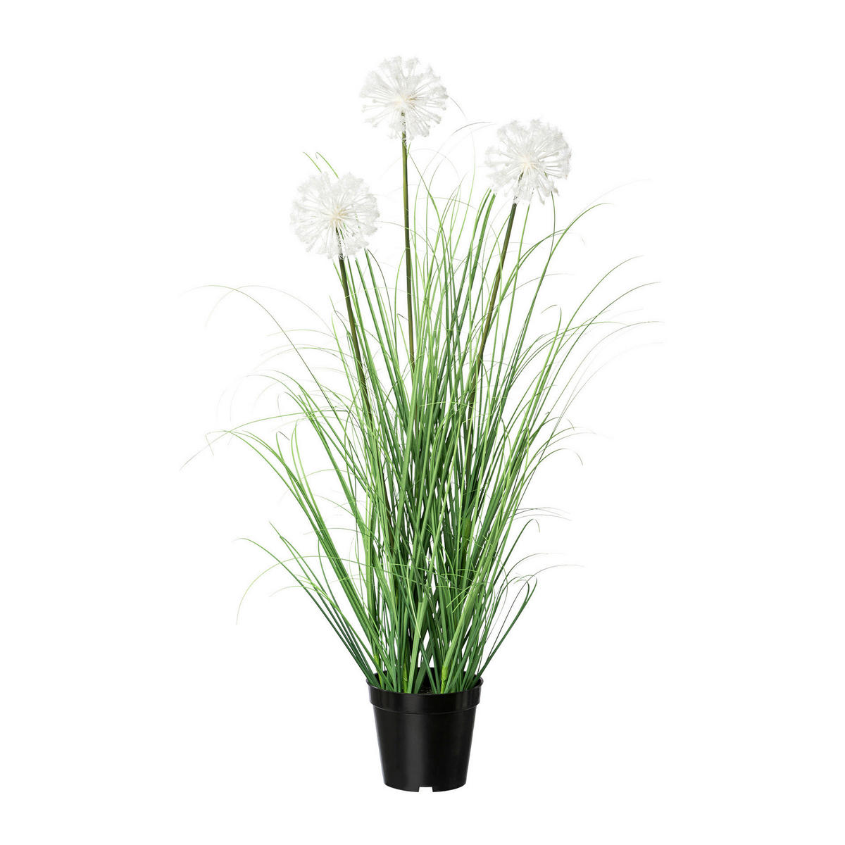 KUNSTPFLANZE 78 cm  - Schwarz/Weiß, MODERN, Kunststoff (78cm) - P & B
