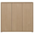 SCHUHSCHRANK 109,2/99,1/34,9 cm  - Eichefarben/Grau, MODERN, Holzwerkstoff/Kunststoff (109,2/99,1/34,9cm) - Carryhome