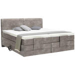 BOXSPRINGBETT 160/200 cm  in Hellgrau  - Hellgrau/Schwarz, Design, Kunststoff/Textil (160/200cm) - Hom`in