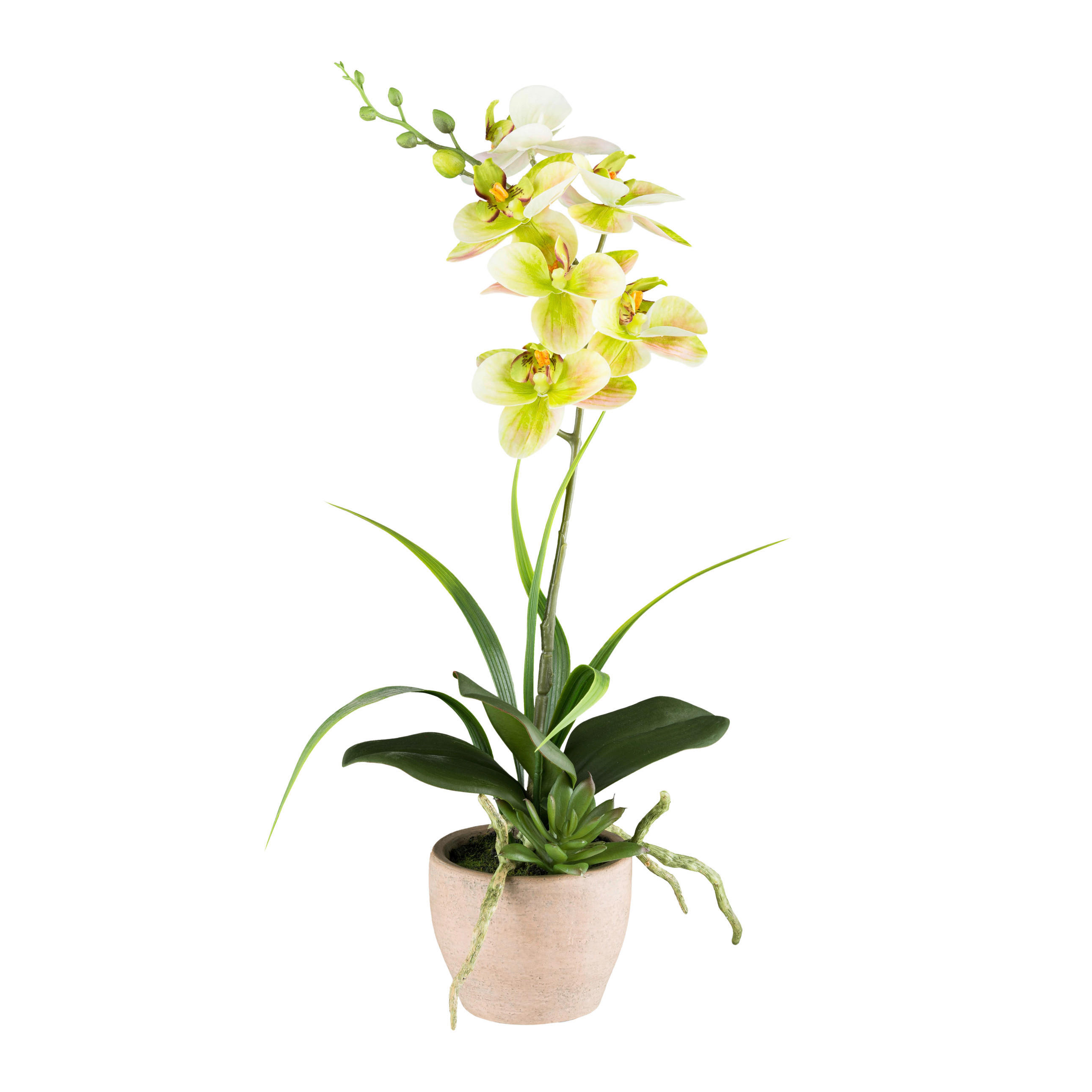 KUNSTPFLANZE Orchidee 45 cm  - Gelb/Braun, Design, Kunststoff/Stein (45cm) - P & B