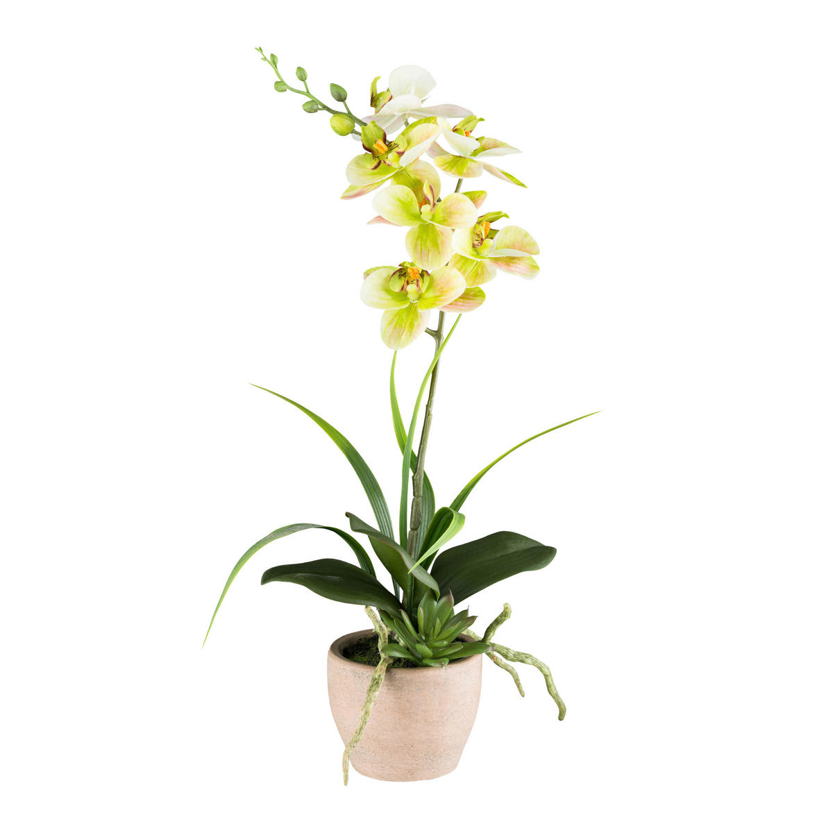 KUNSTPFLANZE Orchidee 45 cm  - Gelb/Braun, Design, Kunststoff/Stein (45cm) - P & B
