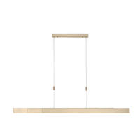 LAMPĂ SUSPENDATĂ CU LED 110-200/5,5/110-200 cm  - Design, plastic/metal (110-200/5,5/110-200cm)