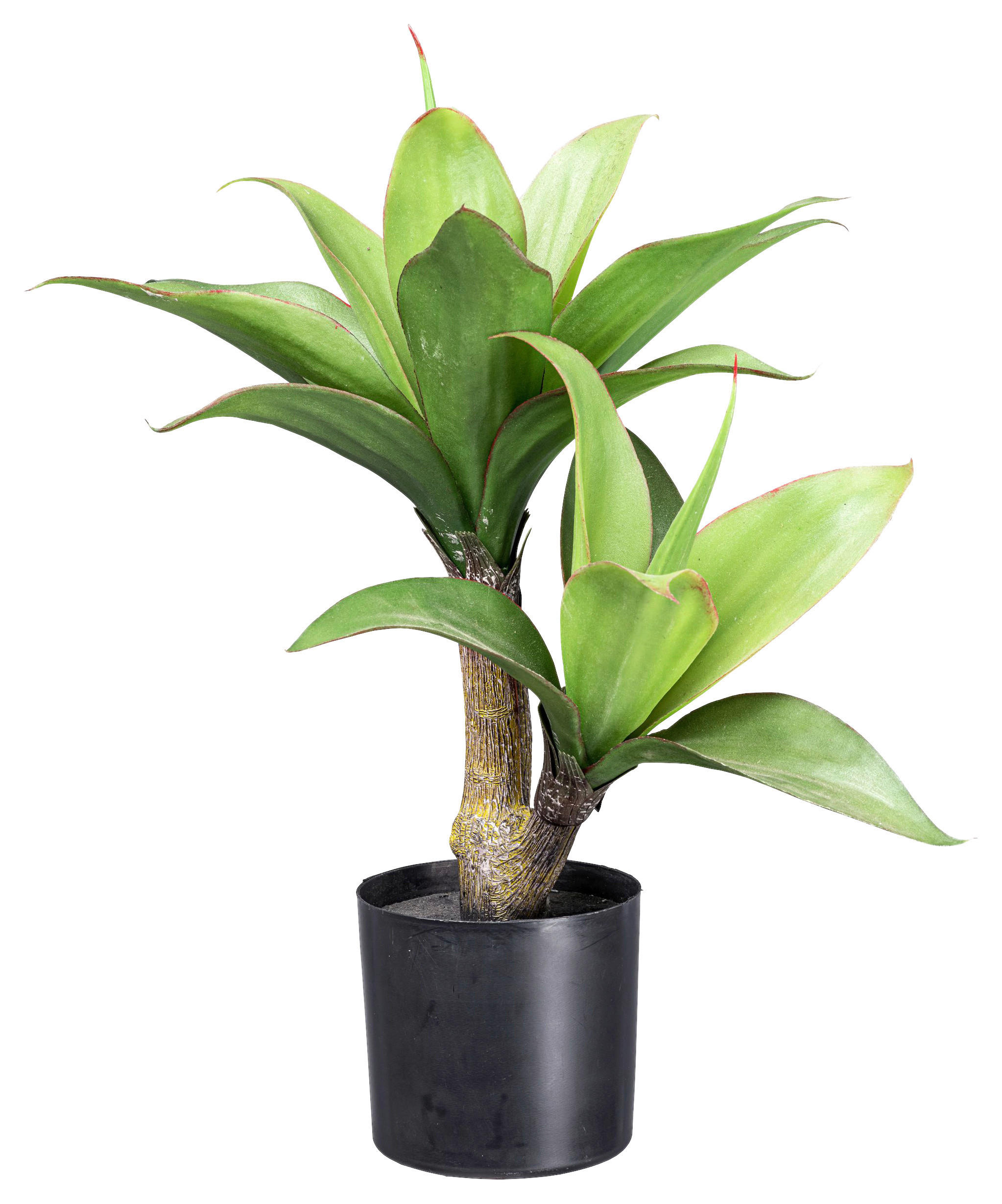KUNSTPFLANZE Agave 45 cm - Schwarz/Braun, Design, Kunststoff (45cm) - P & B