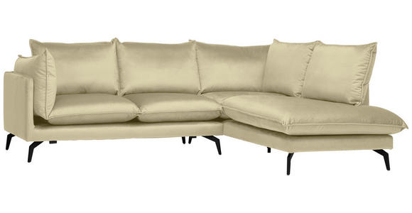 ECKSOFA in Samt Beige  - Beige/Schwarz, Design, Textil/Metall (241/200cm) - Carryhome