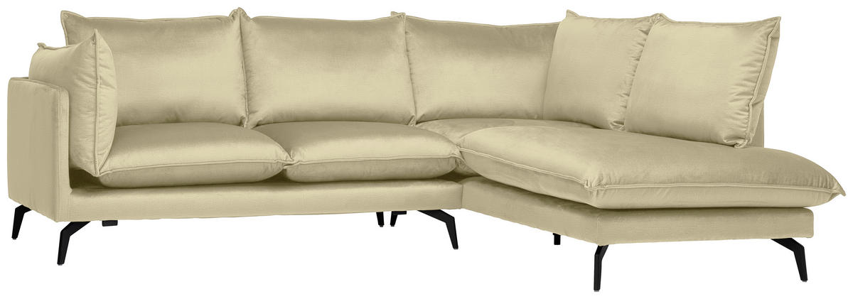 ECKSOFA in Samt Beige  - Beige/Schwarz, Design, Textil/Metall (241/200cm) - Carryhome