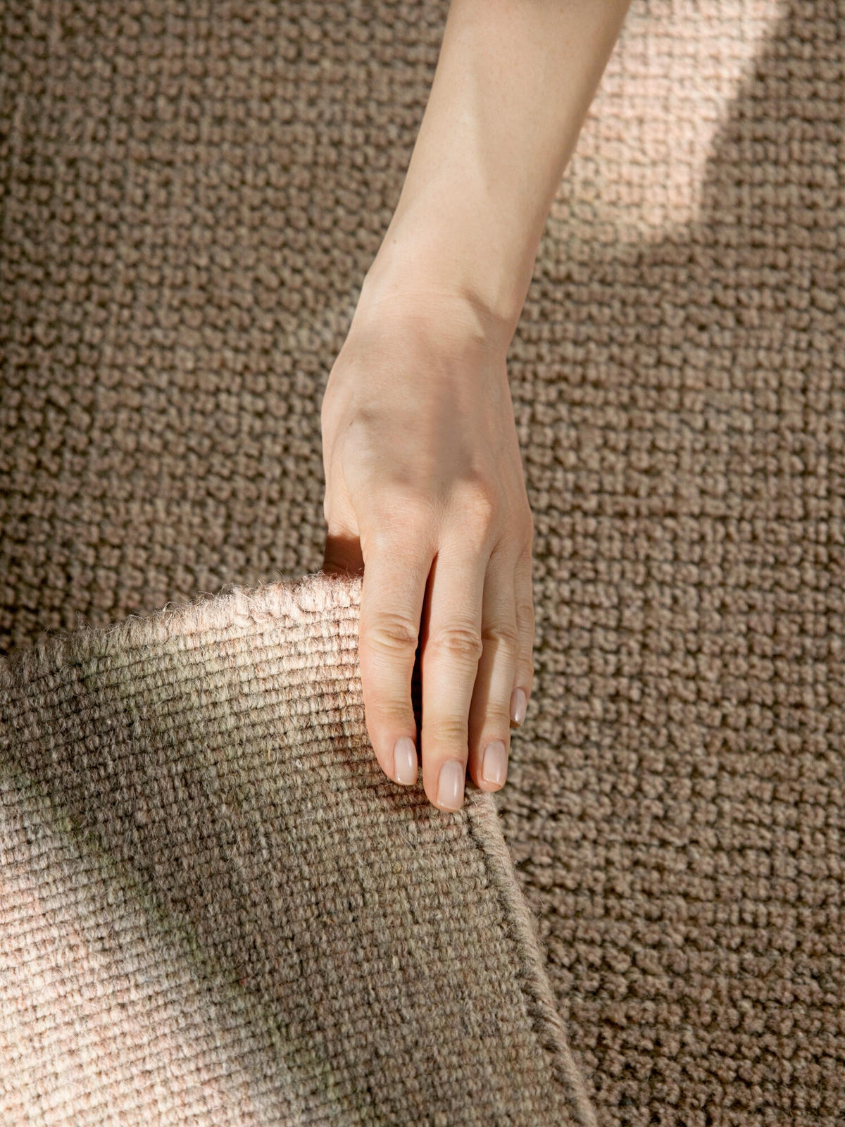 WOLLTEPPICH 120/170 cm Greenwich Beige rechteckig  - Beige, Basics, Textil (120/170cm) - Ted Baker