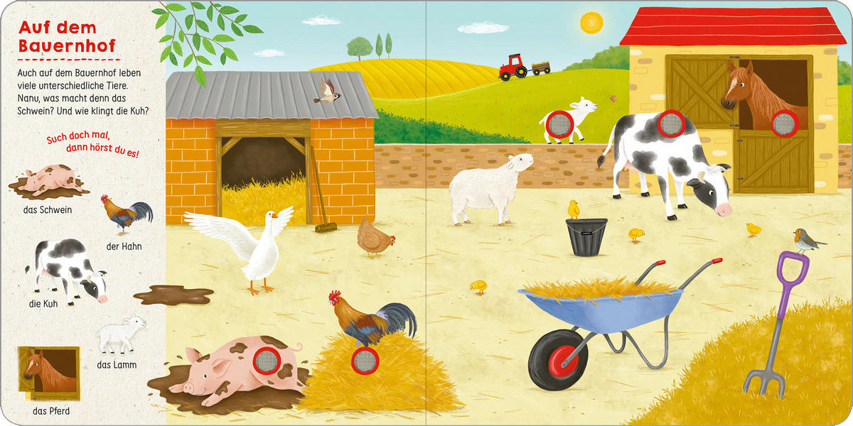 BUCH - Multicolor, Basics, Papier (19,5/19,5/1,6cm)