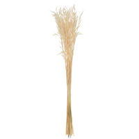 TROCKENBLUMENSTRAUß  - Creme, Basics, Naturmaterialien (7,5/7,5/85cm)