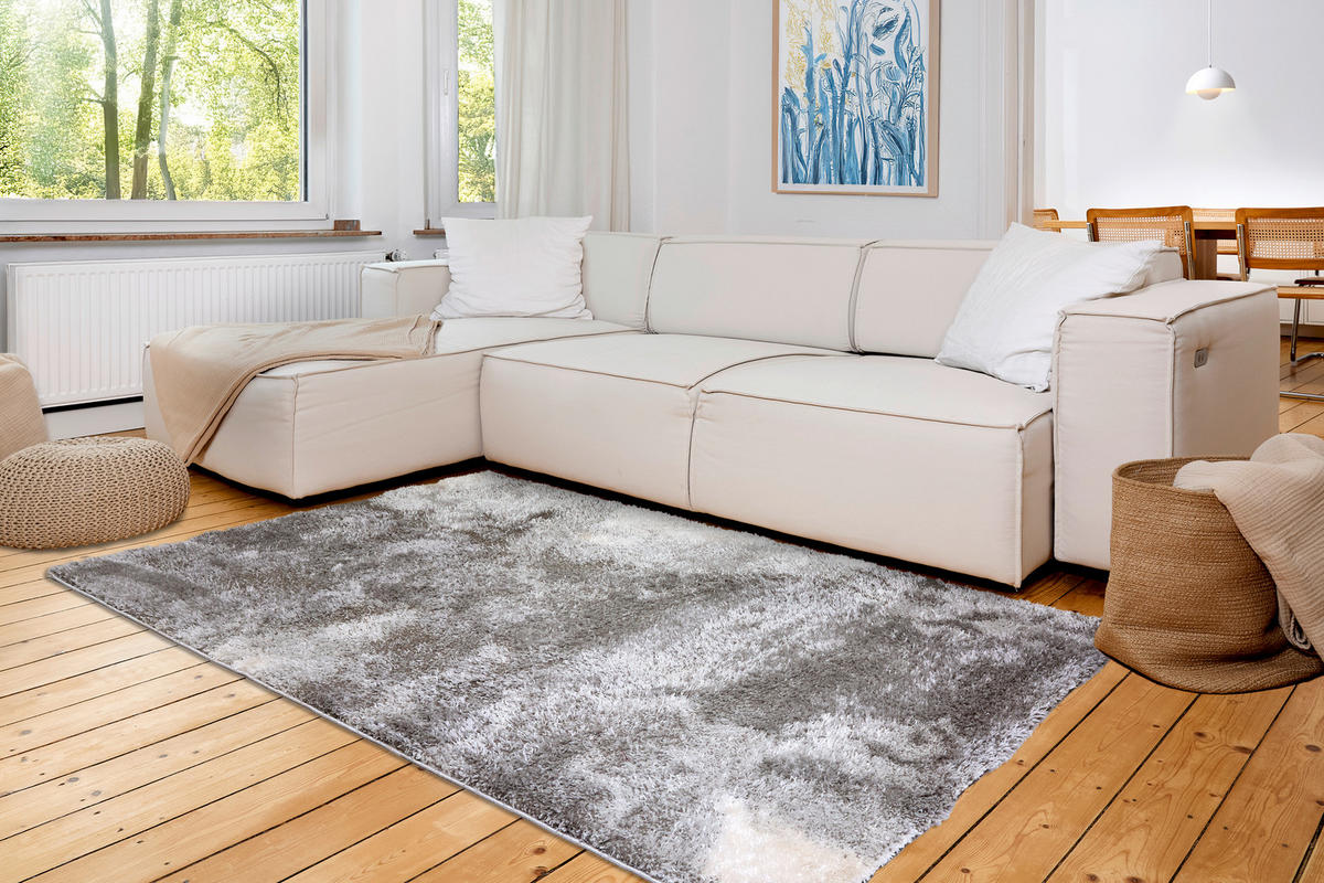 WEBTEPPICH 160/230 cm Paulie Silberfarben rechteckig  - Silberfarben, Basics, Textil (160/230cm) - Astra