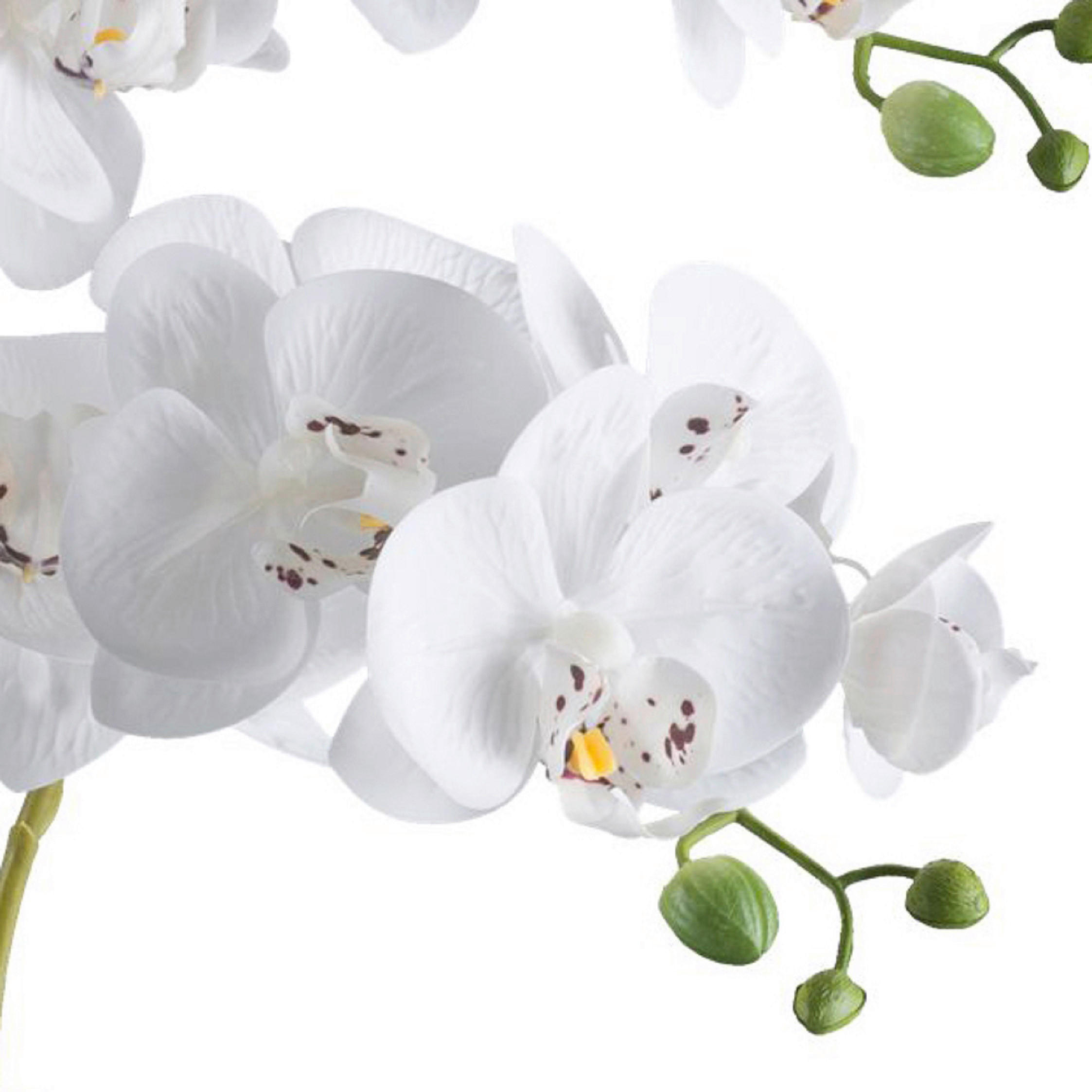 KUNSTPFLANZE Orchidee 70 cm  - Schwarz/Weiß, Design, Kunststoff (70cm) - P & B