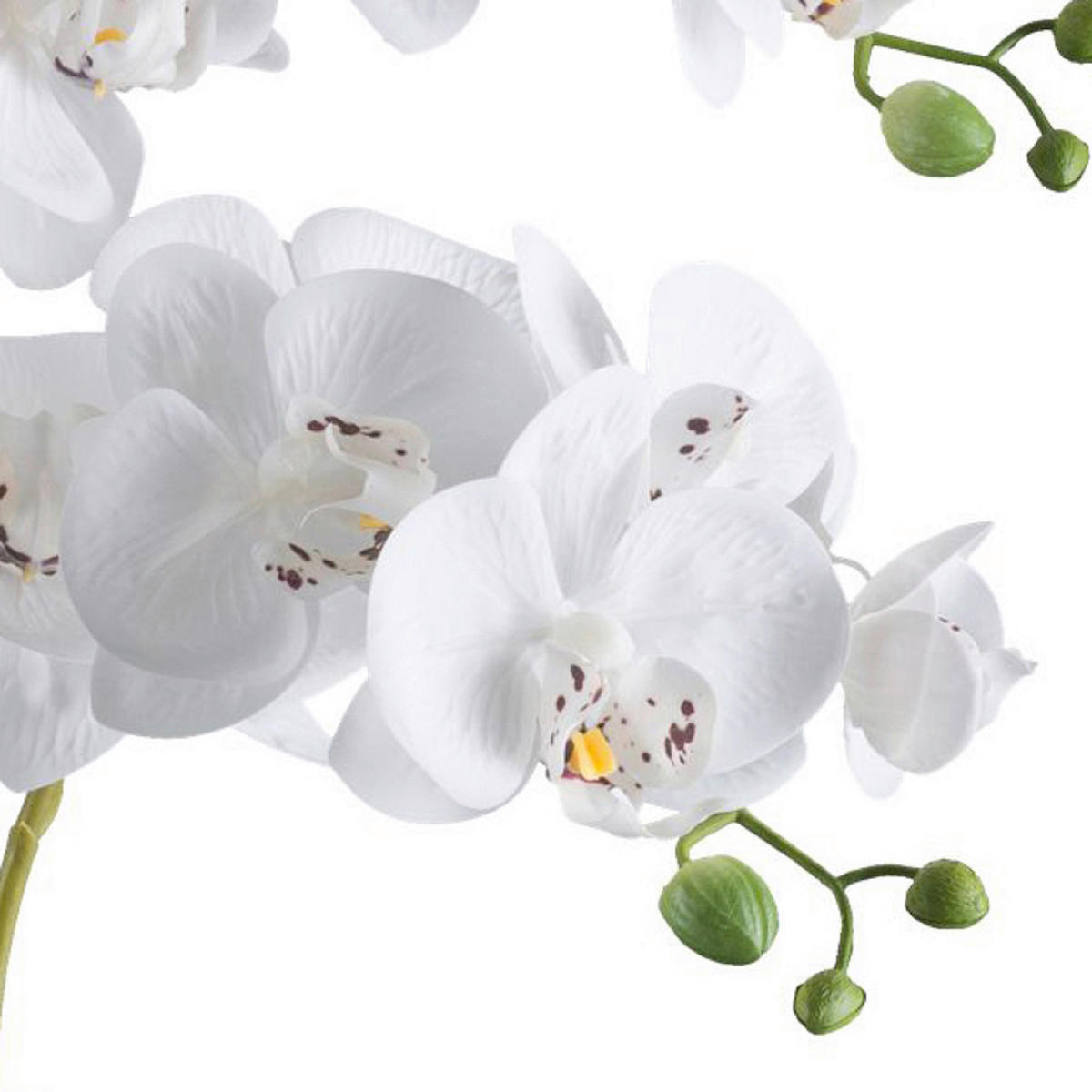 KUNSTPFLANZE Orchidee 70 cm  - Schwarz/Weiß, Design, Kunststoff (70cm) - P & B