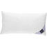 INNENKISSEN 40/80 cm - Champagner, Basics, Textil (40/80cm) - Billerbeck INNENKISSEN 40/80 cm - Champagner, Basics, Textil (40/80cm) - Billerbeck