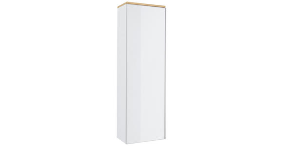 GARDEROBENSCHRANK  in 54/170/31 cm  - Eichefarben/Silberfarben, Design, Glas/Holz (54/170/31cm) - Novel