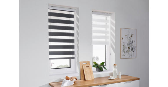 DOPPELROLLO 60/160 cm - Transparent/Weiß, Basics, Textil (60/160cm) - Boxxx