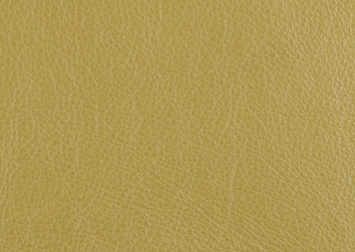 RELAXSESSEL Leder Limette  - Edelstahlfarben/Limette, Design, Leder/Metall (92/79/90cm) - Koinor