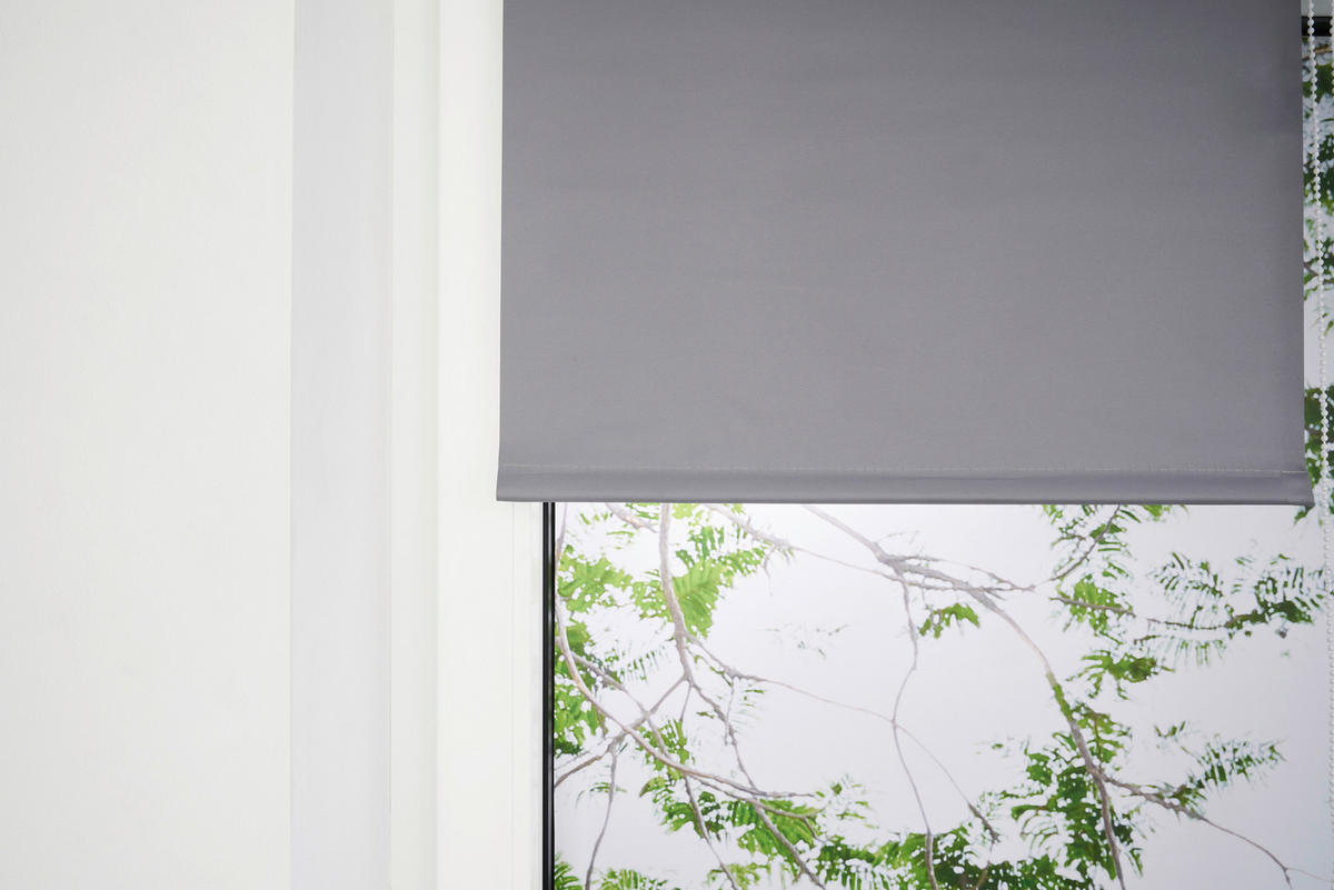 ROLLO  blickdicht     - Grau, Basics, Textil (140/150/4cm) - Homeware
