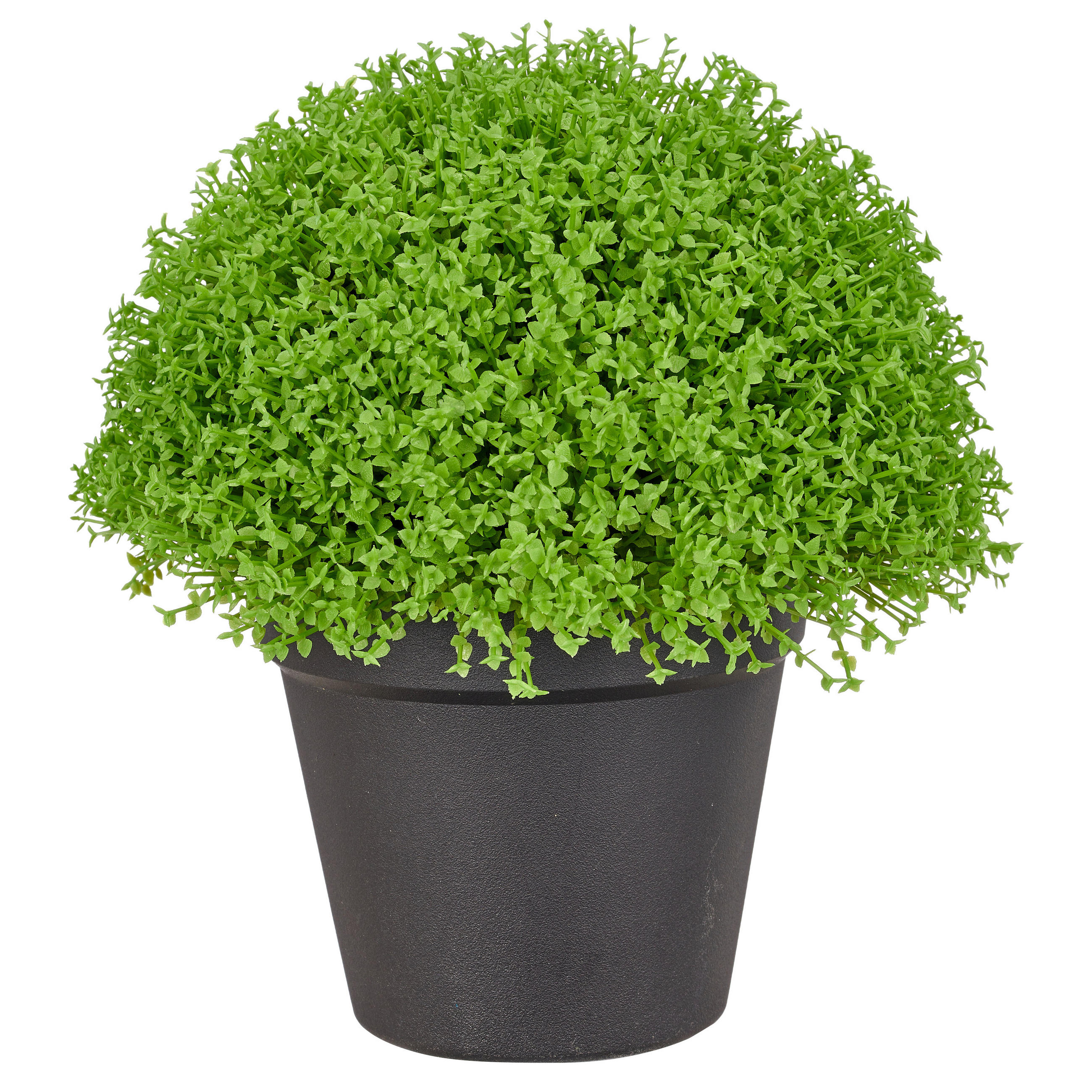 KUNSTPFLANZE 21 cm  - Schwarz/Grün, Basics, Kunststoff (21cm)