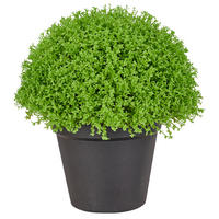 KUNSTPFLANZE 21 cm  - Schwarz/Grün, Basics, Kunststoff (21cm)