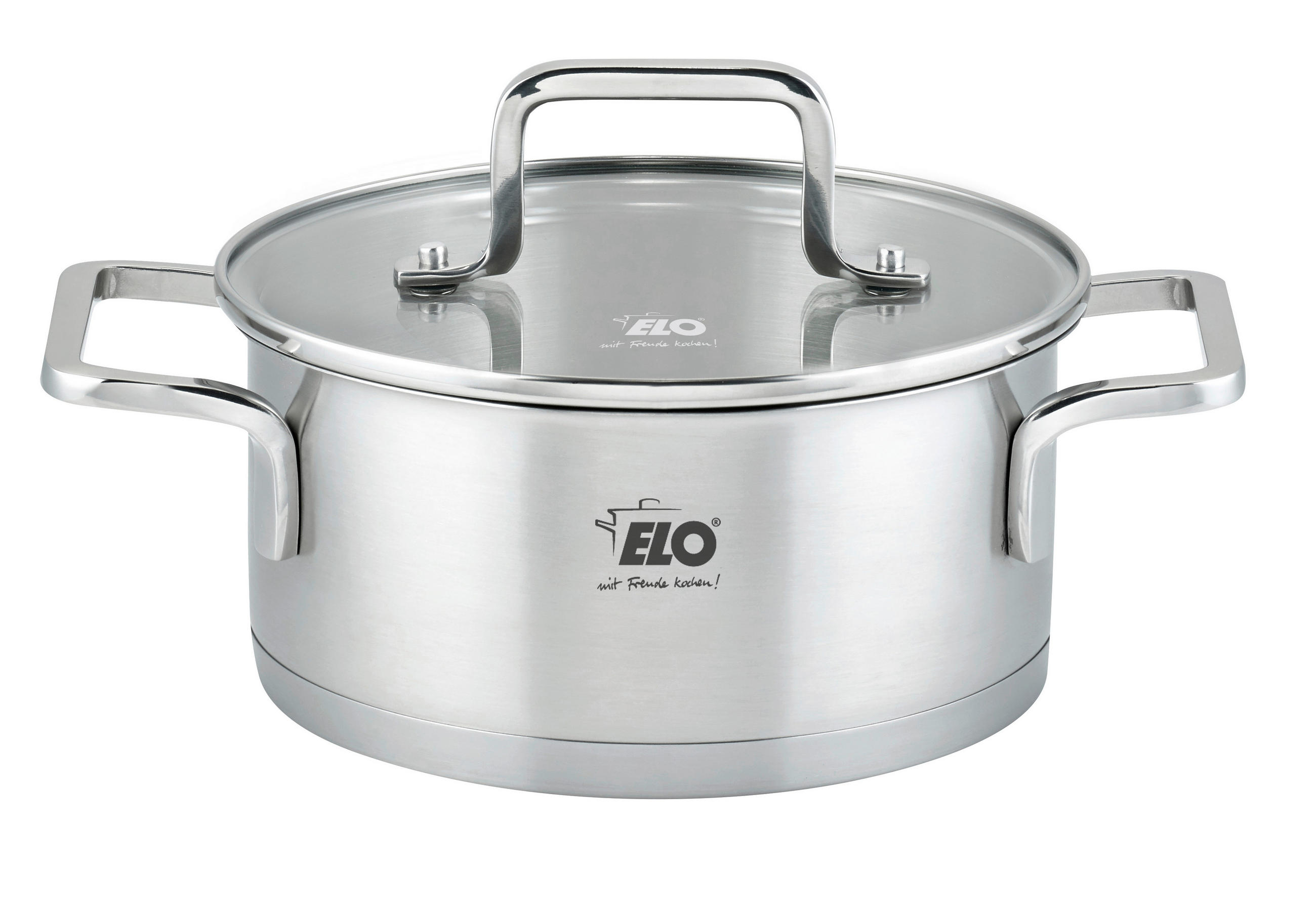 BRATENTOPF Topas 2,7 L  - Transparent/Silberfarben, Basics, Glas/Metall (20cm) - ELO