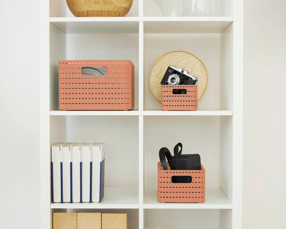 ÚLOŽNÝ BOX, plast - koralová, Basics, plast (18,5/12,6/28cm) - Rotho