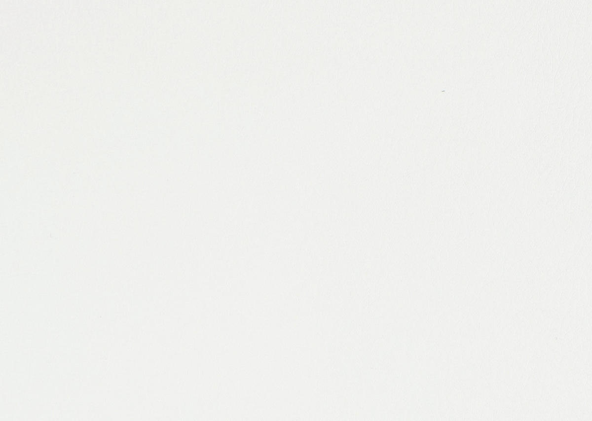 POLSTERBETT 160/200 cm  in Weiss  - Weiss/Silberfarben, Konventionell, Holz/Textil (160/200cm) - Esposa